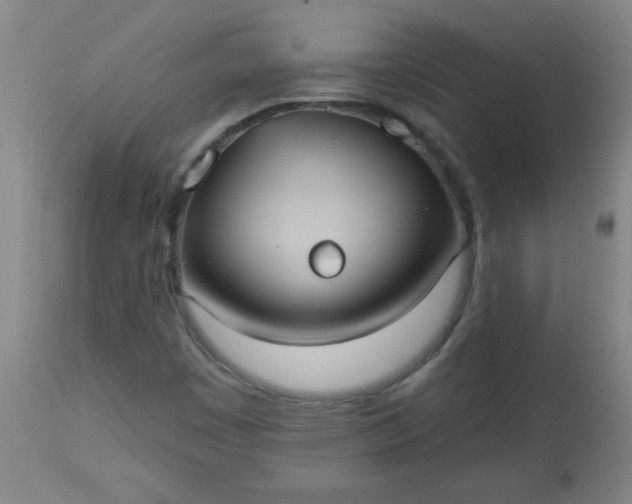 X0000113231449200909241512