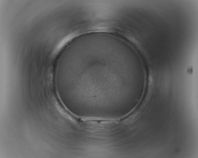 X0000113231450200909241512