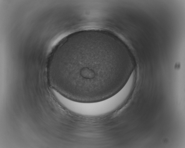 X0000113231453200909241512