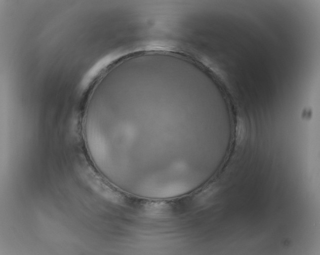 X0000113231454200909241512