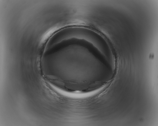 X0000113231455200909241512