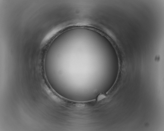 X0000113231456200909241512