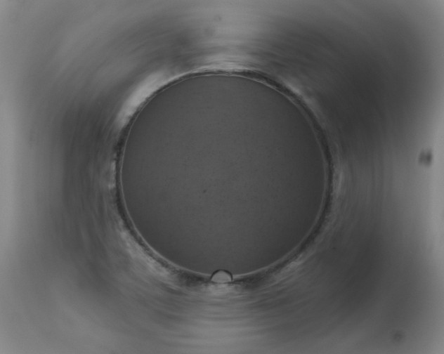 X0000113231459200909241512