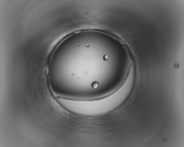 X0000113231460200909241512