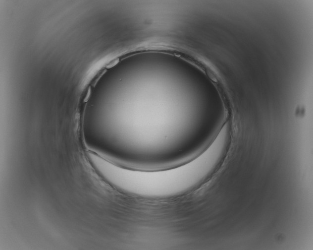 X0000113231461200909241511