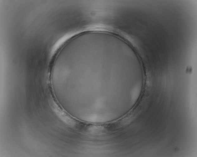 X0000113231462200909241511