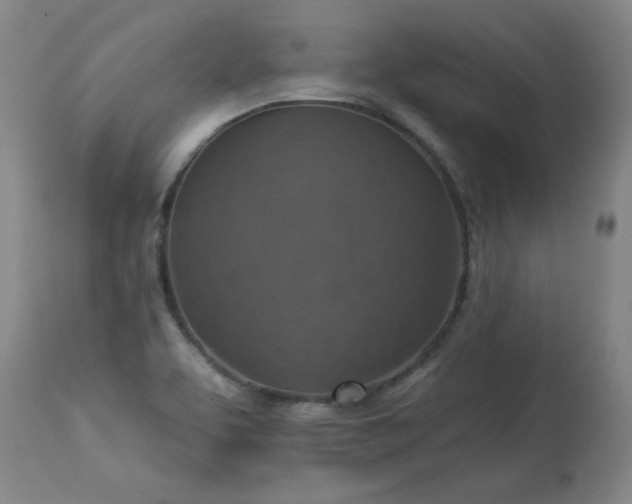 X0000113231463200909241511