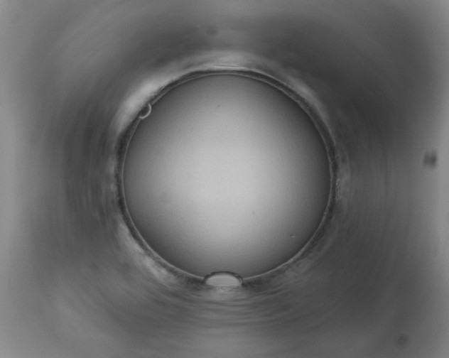 X0000113231464200909241511