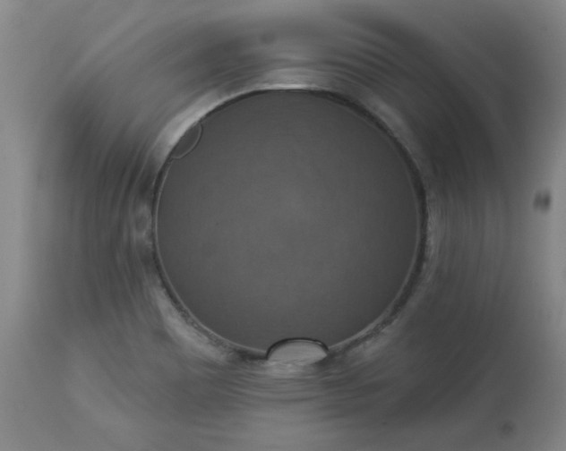 X0000113231465200909241511