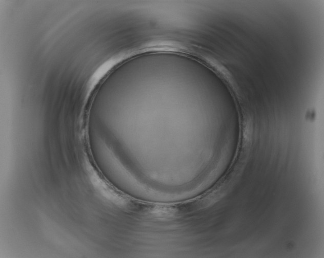 X0000113231466200909241511