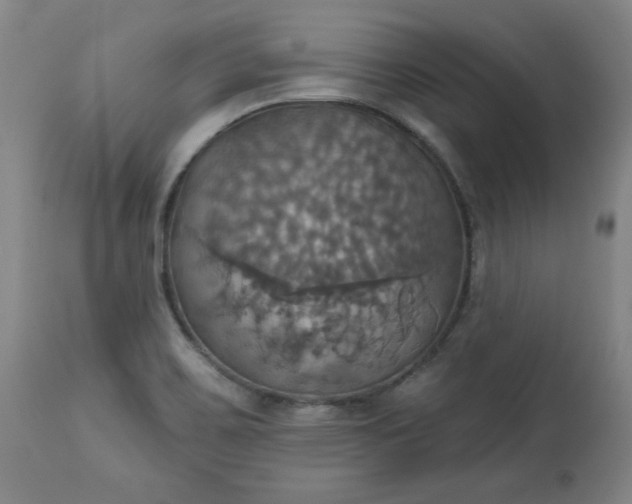 X0000113231467200909241511