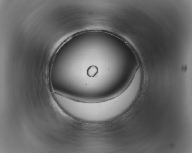 X0000113231468200909241511