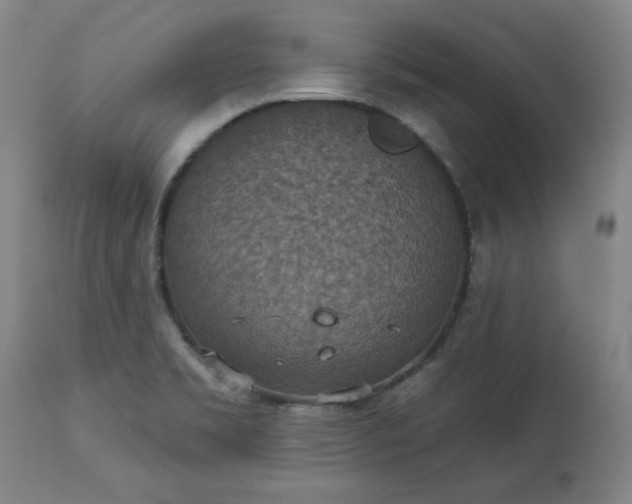 X0000113231469200909241511