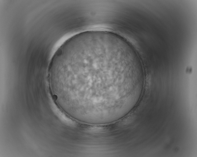 X0000113231470200909241511