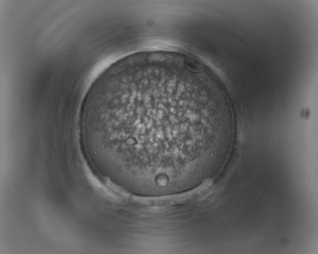 X0000113231471200909241511