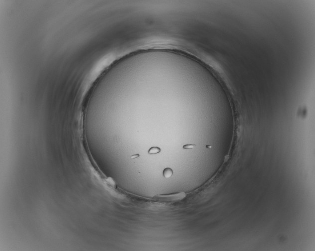 X0000113231472200909241511