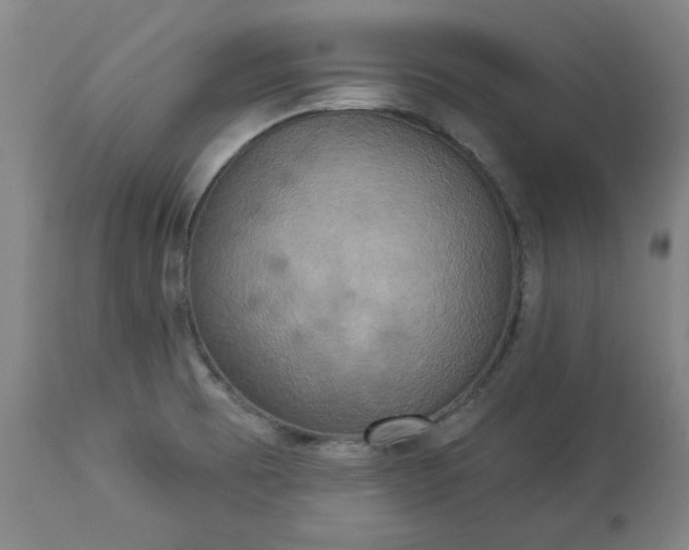 X0000113231473200909241511