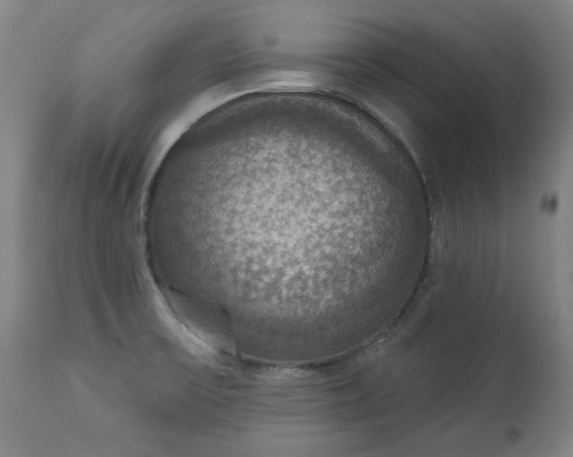 X0000113231475200909241511