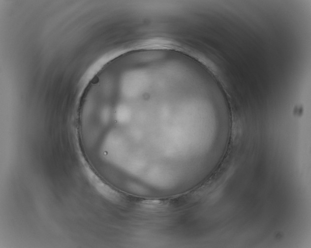 X0000113231478200909241511