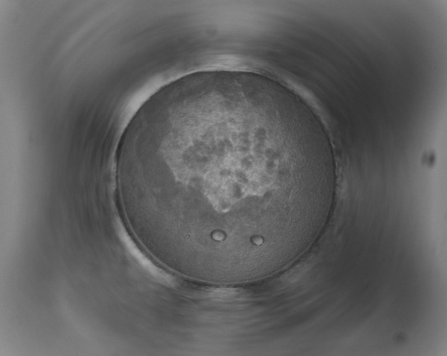 X0000113231479200909241511