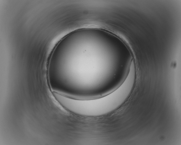 X0000113231480200909241511