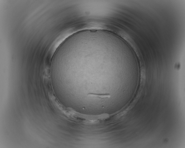 X0000113231481200909241511