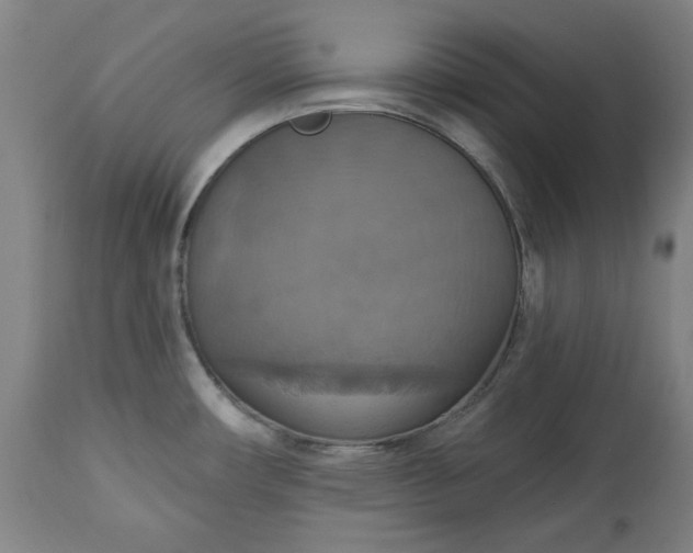 X0000113231482200909241511