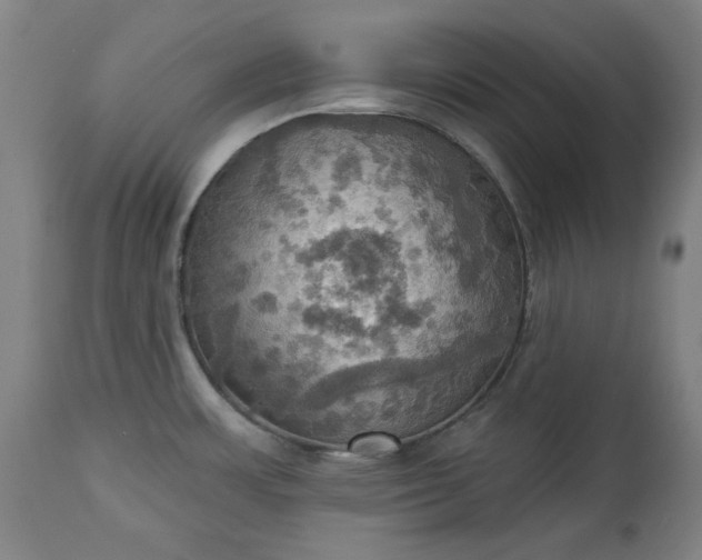 X0000113231483200909241511