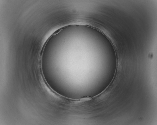 X0000113231484200909241511