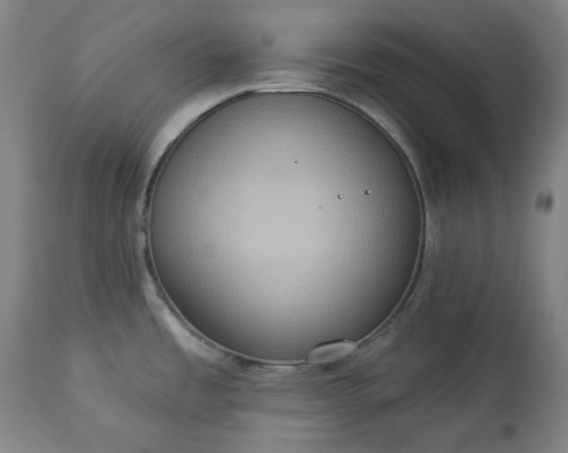 X0000113231485200909241511