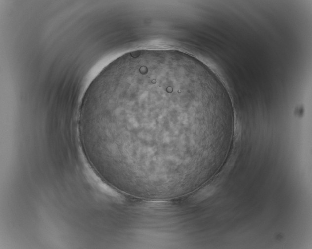 X0000113231486200909241511