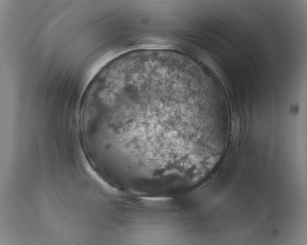 X0000113231487200909241511