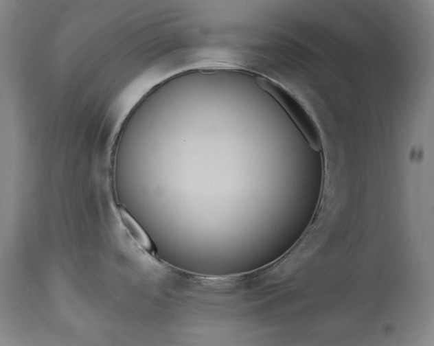 X0000113231488200909241511