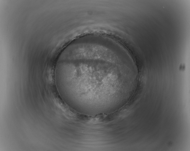 X0000113231490200909241510