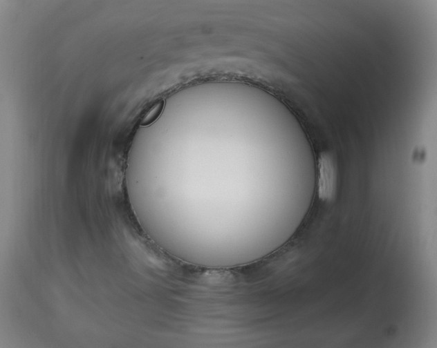 X0000113231491200909241510