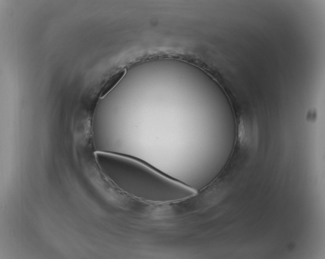 X0000113231492200909241510