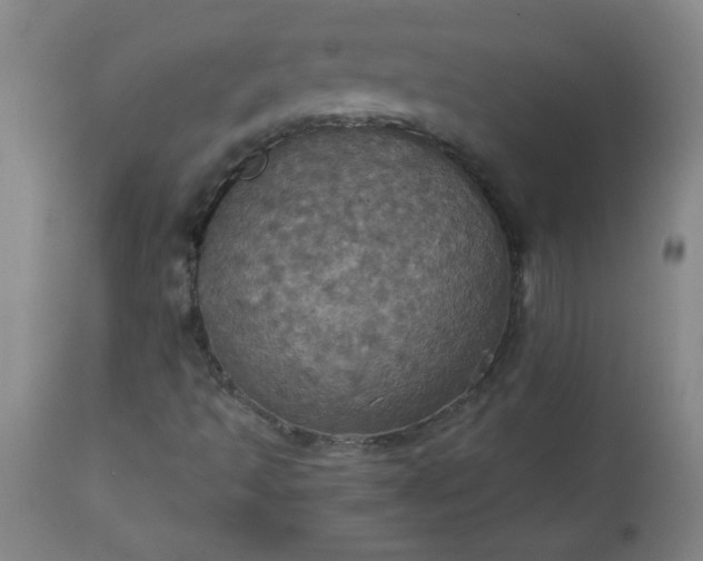 X0000113231493200909241510