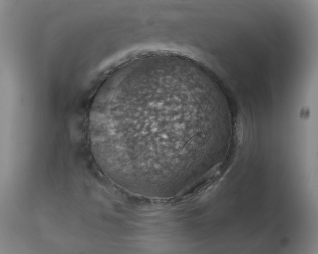 X0000113231494200909241510