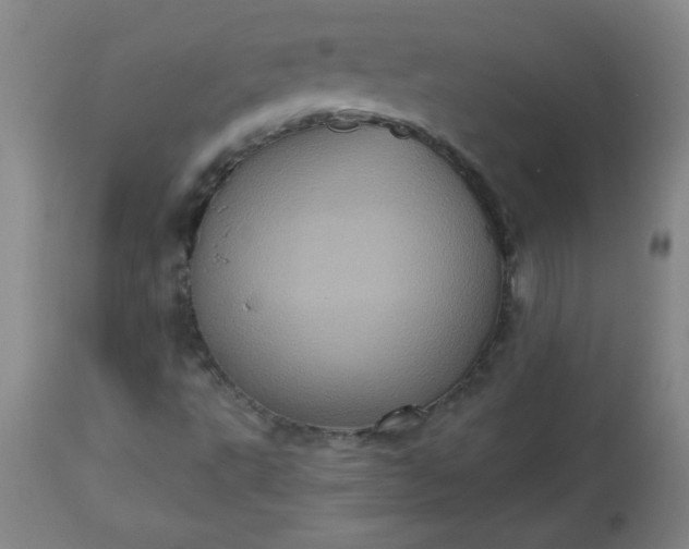 X0000113231495200909241510