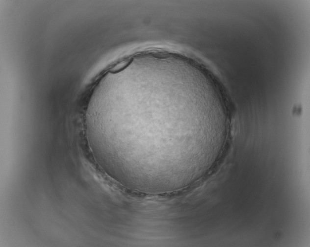 X0000113231496200909241510