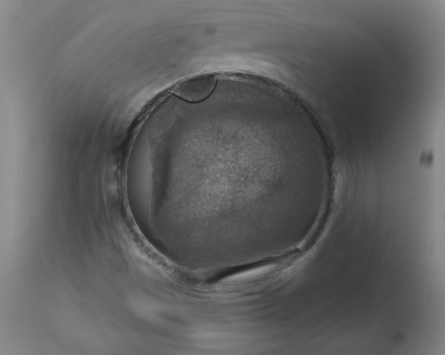 X0000113231497200909241510