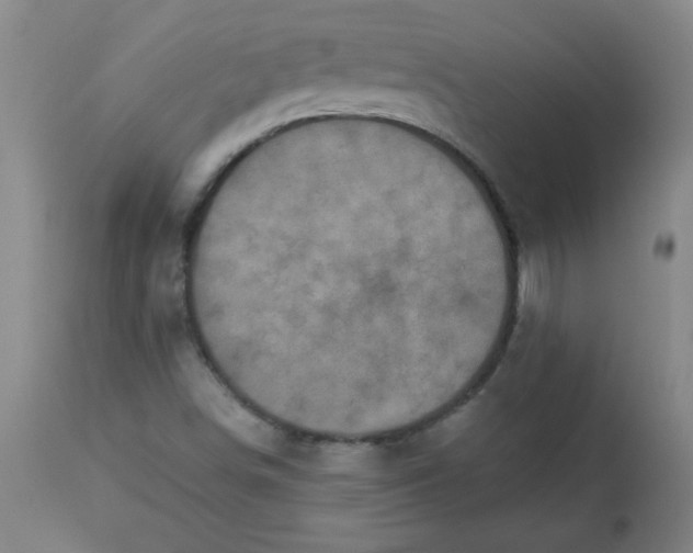 X0000113231498200909241510