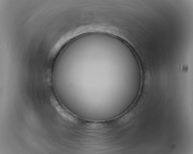 X0000113231499200909241510