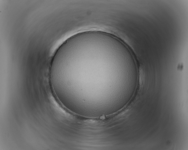 X0000113231500200909241510