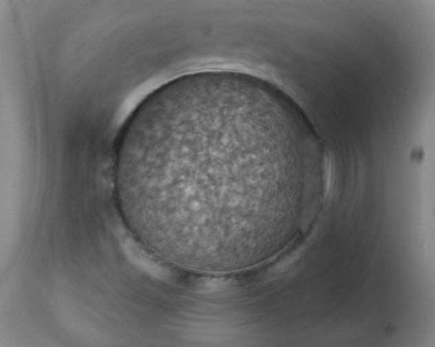 X0000113231501200909241510