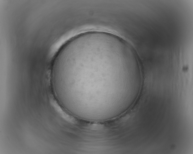 X0000113231503200909241511