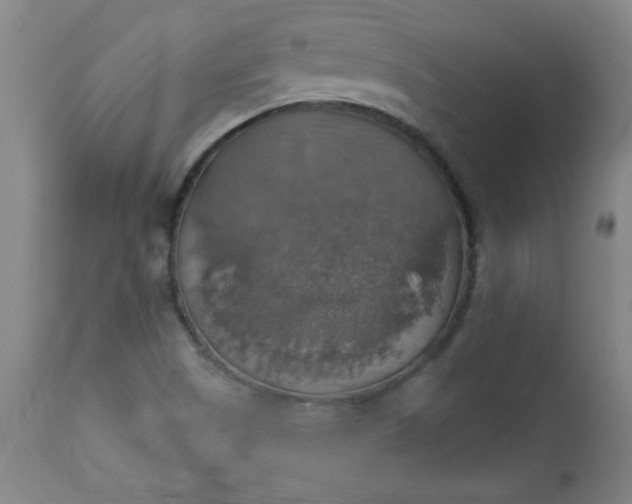 X0000113231505200909241511