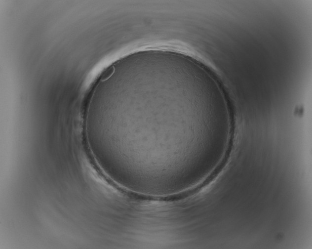 X0000113231506200909241511