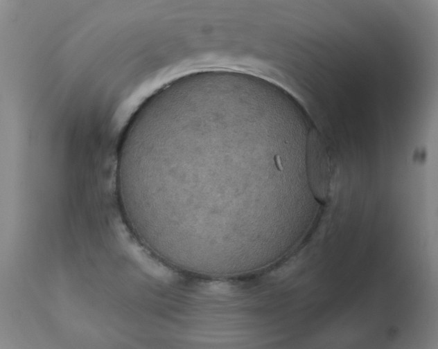 X0000113231507200909241511