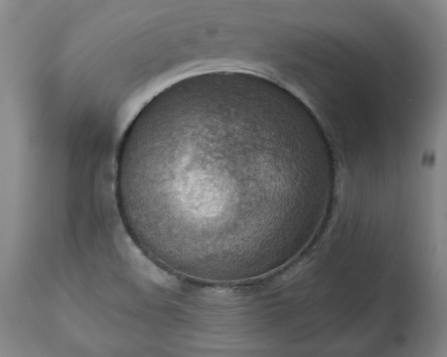 X0000113231508200909241511